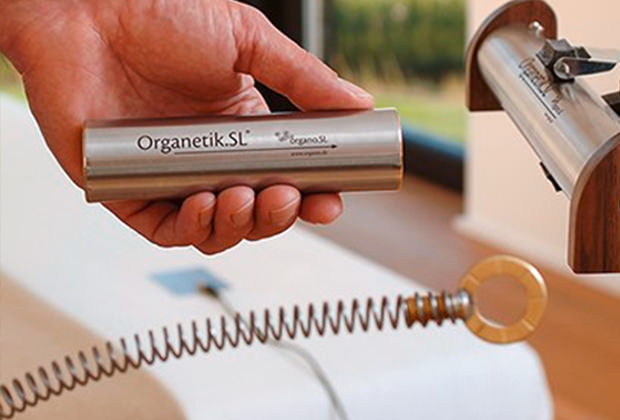 Organetik SL